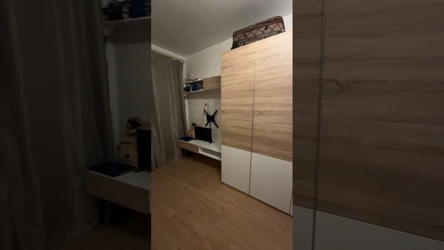 Петровский 11 студия Полная версия