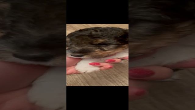 1000029291.mp4