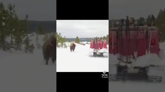 твая мама пришла после собраний