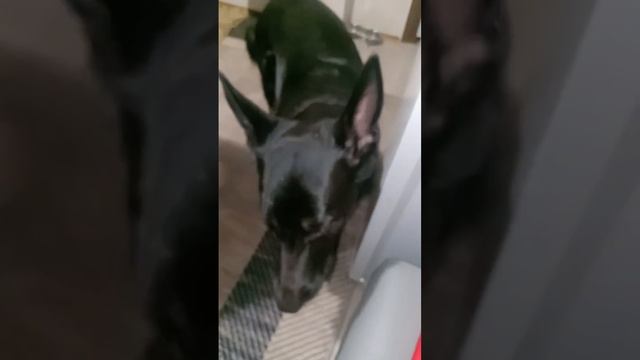 Как вкусно покушать безе...