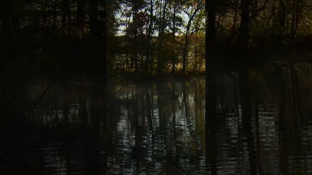 Ветры шепчут, река манит, солнце играет, счастье в сердце