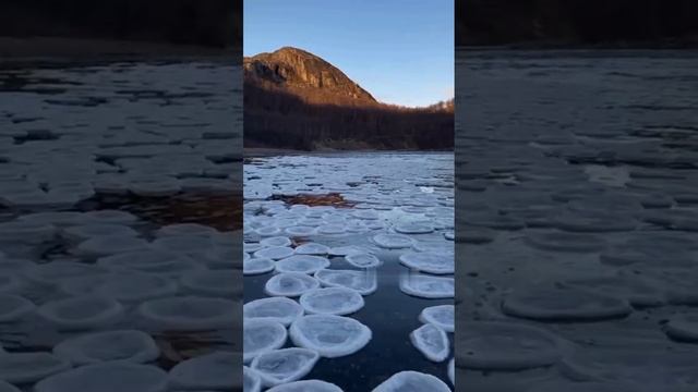 Необычное природное явление — ледяные блины