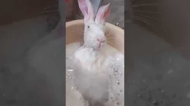 Как же он крут