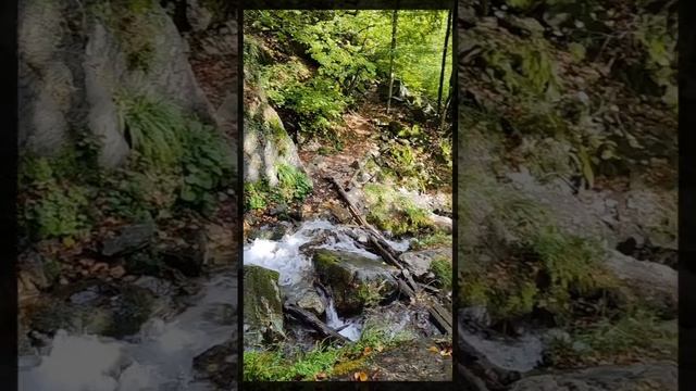 Трекинг к водопаду Кейва в Красной поляне (Сочи)💧 Больше маршрутов и постов о походах - см. в мо...