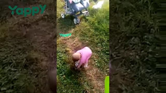 #топ топ