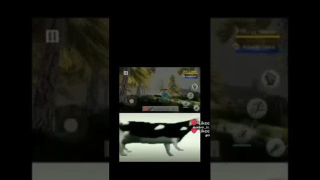 прпр26844.mp4