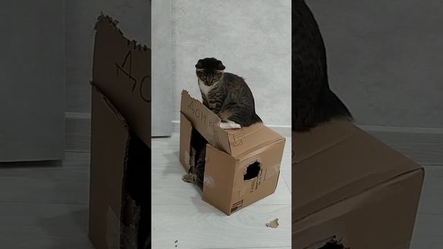 1000061043.mp4