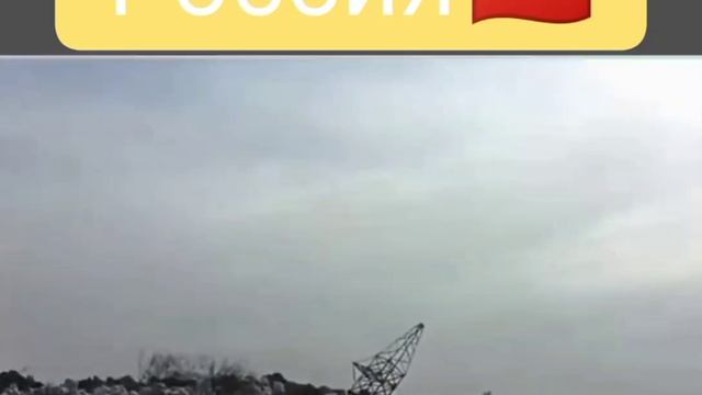 Странные явления окутывают наш Парк