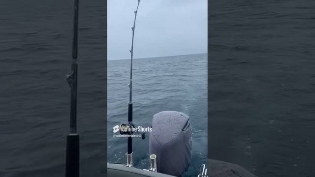 Дождевая рыбалка