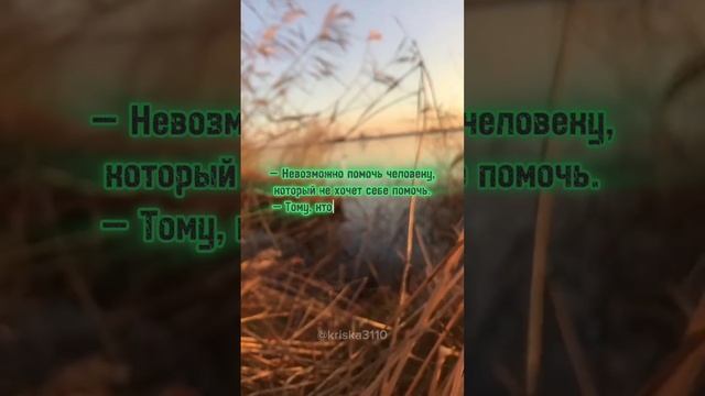 Цитата