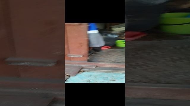 1000013371.mp4