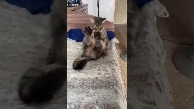 1000011667.mp4