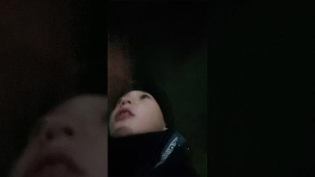 scene_output.mp4