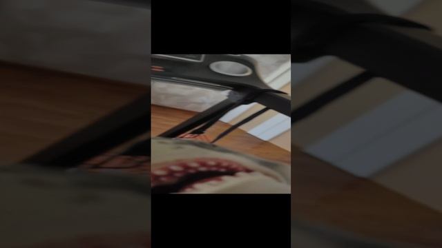 VID_20241109_154253.mp4