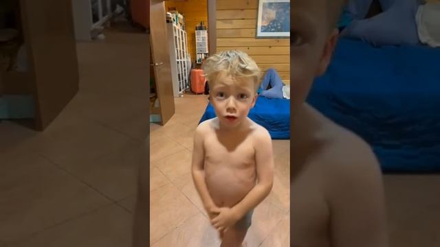 Малышка мальтипу в семье.
