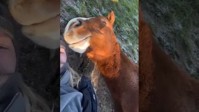 1000011686.mp4