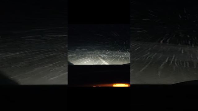 VID20241101062519.mp4