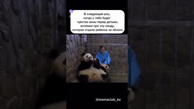 панда отдала ребёнка за яблоко 😄