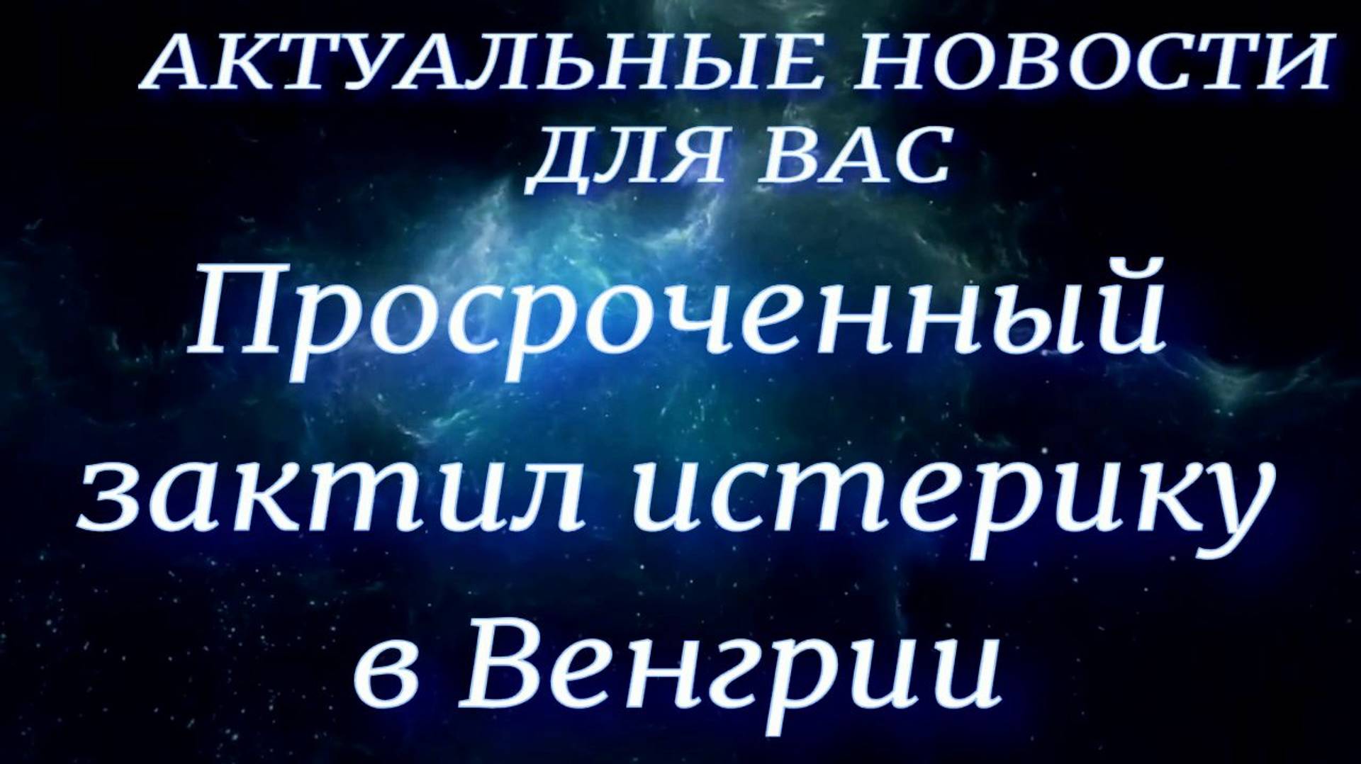 Просроченный закатил истерику в Венгрии