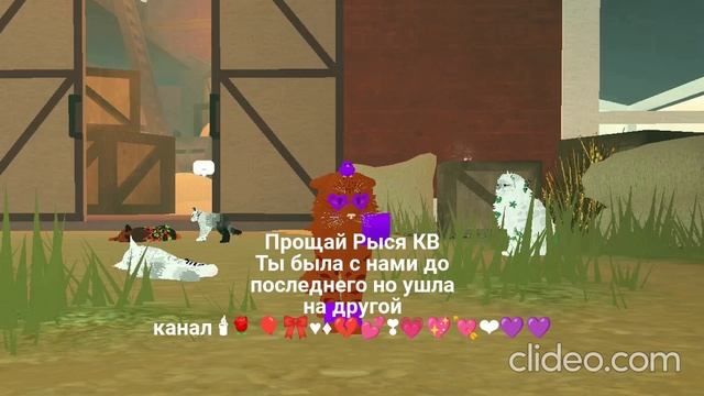 Прощай Рыся( ❤❤💜💜💜🎈🎈🌹🌹🌹🕯🕯😭😭😭😭😭🙏🙏🙏😪😪😥😥😥😘😘😢😢💋💋