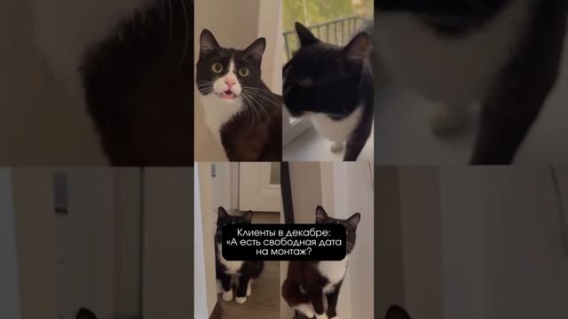 Не переживайте, дату мы найдем до вас и в декабре😉