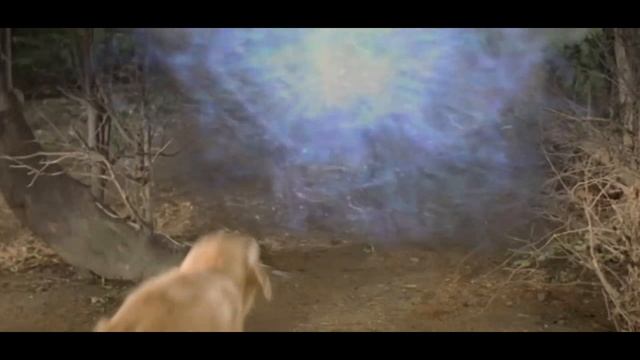 Когда занял у друзей и убегаешь от них в зеркало