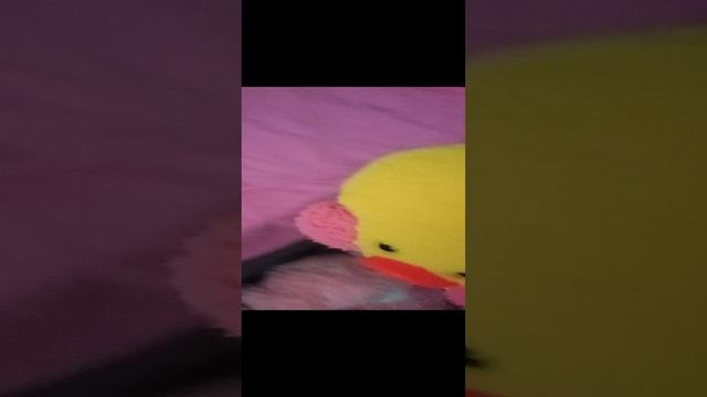 нашу с милкой утром 2