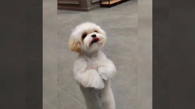 1000840967.mp4