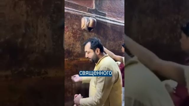 Приняли конденсат кондиционера за святой источник