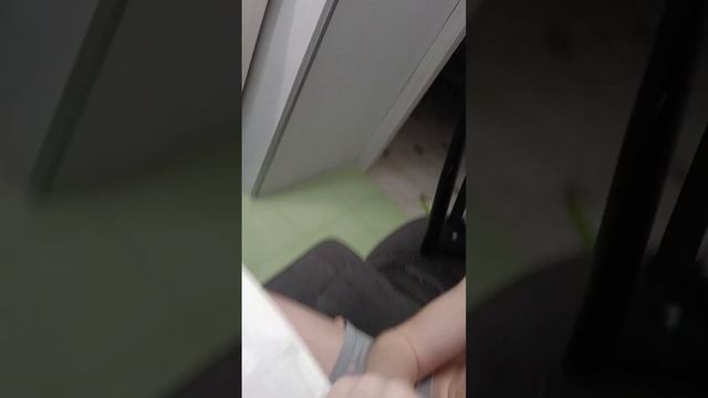 scene_output.mp4