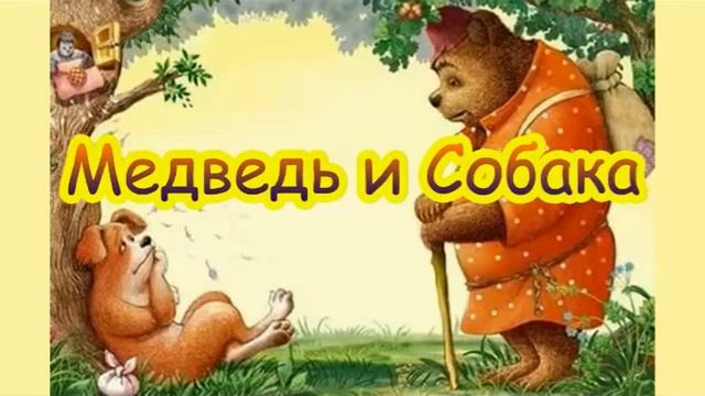 Медведь и собака