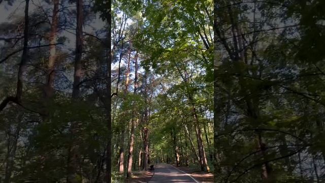 Меняем свою жизнь за 3 недели. День 5. Начните свой день не с залипания в телефоне, а с медитации