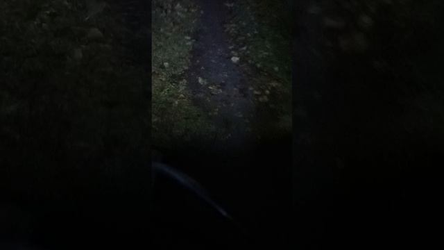бездорожье
