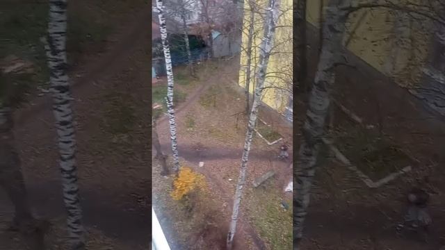 Короче погода1