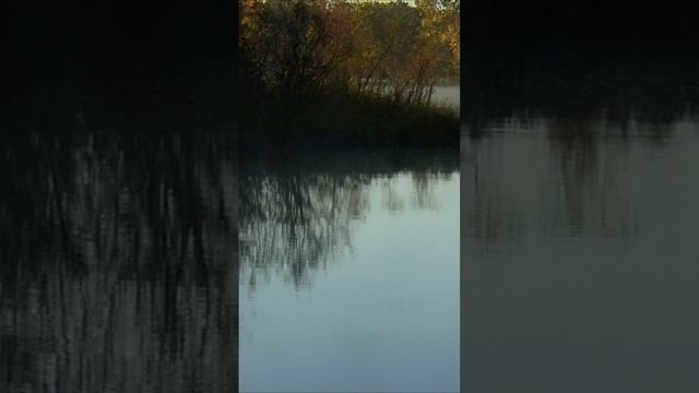 Река сверкает, птицы поют, ветер ласкает, солнце светит, мир вокруг живет