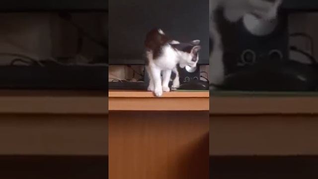 Комп проверили с утра.... Побежали дальше ;-)