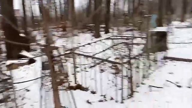Польские могилы на Егошихинском кладбище города Перми