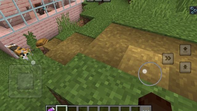 Лера тренирует Василиса - 2 серия (Minecraft)