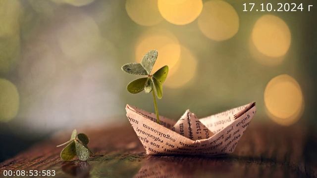 973 Дух Эго 17.10.2024 г