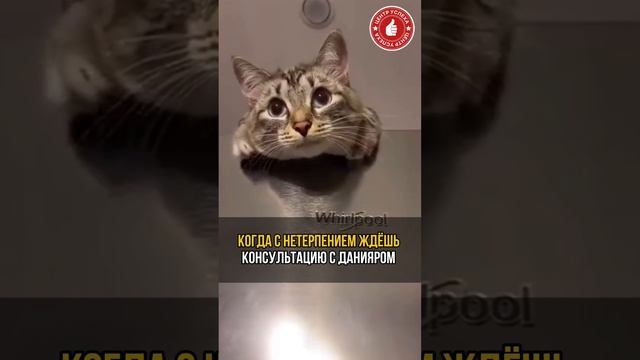 ДОВЕРИЕ 🫂