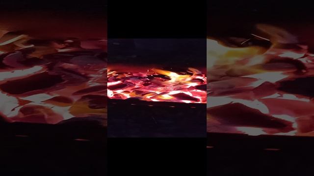 VID_20241026_171950