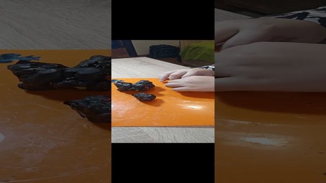 VID_20241109_140725.mp4