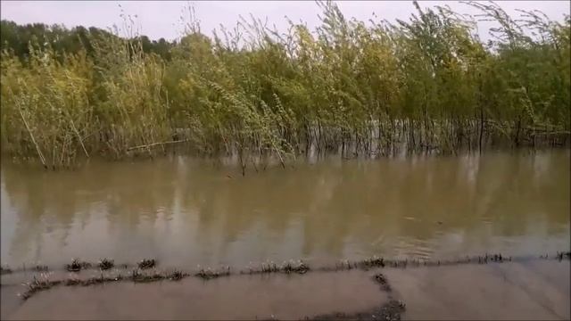 Савин Виталий-Пусть жизнь тебя оберегает.