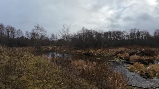 Сплав по реке Комёла