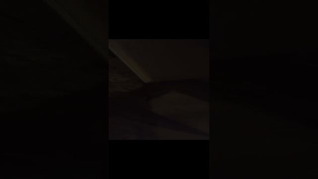 Обзор дома