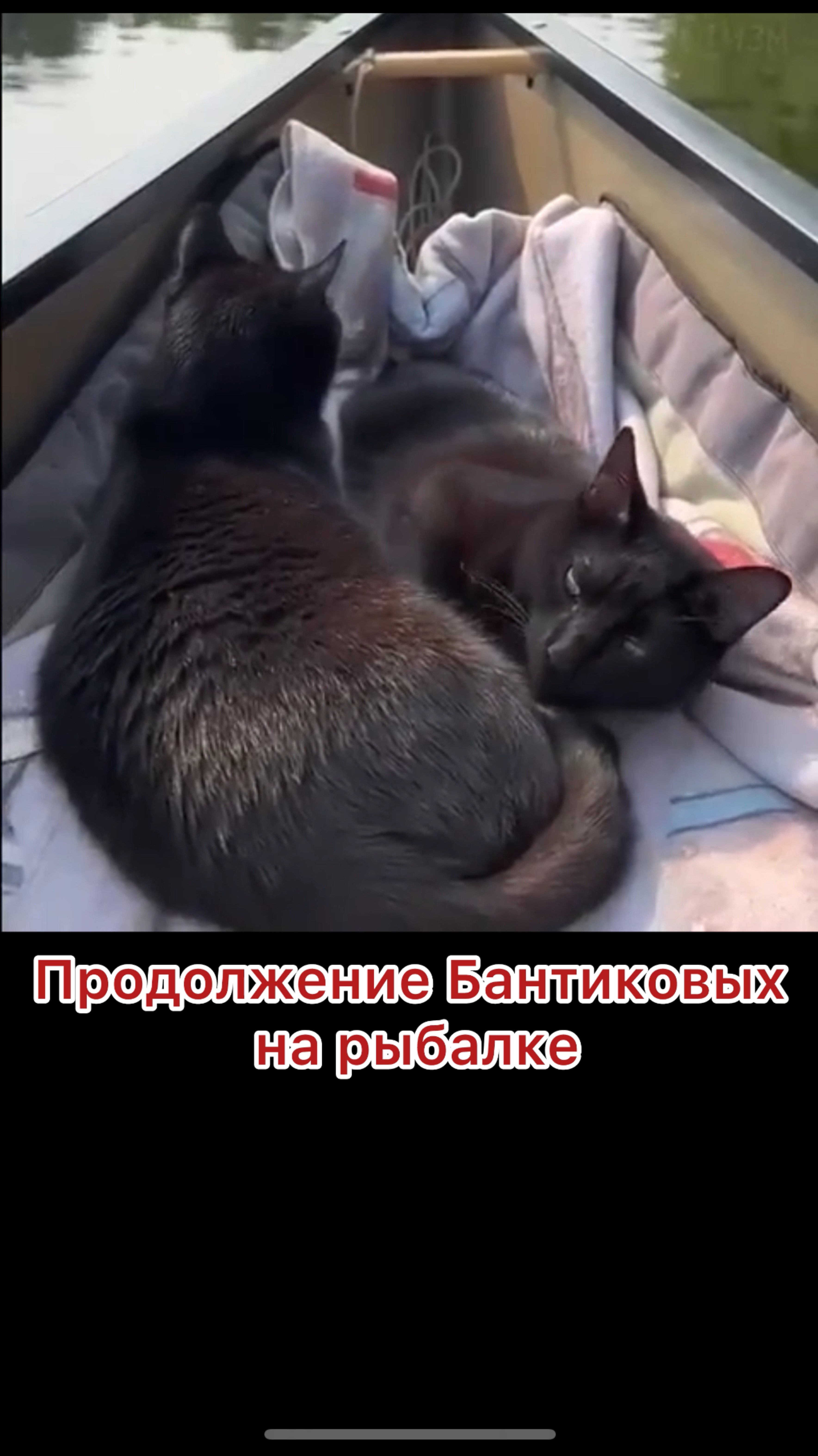 Продолжение Бантиковых на рыбалке