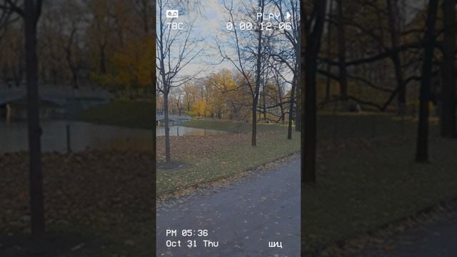 Мысли вслух. Питербург сегодня
