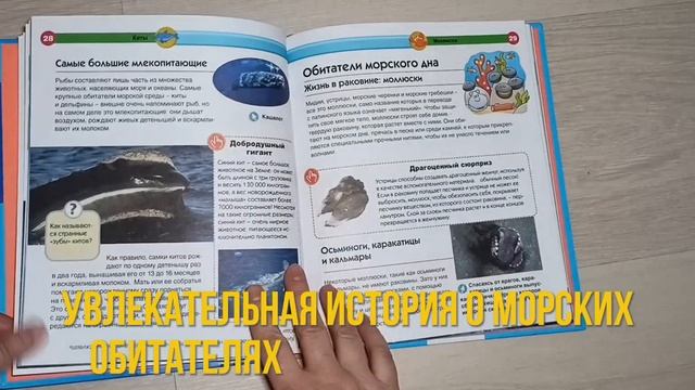 Детская энциклопедия Познакомься это ...море