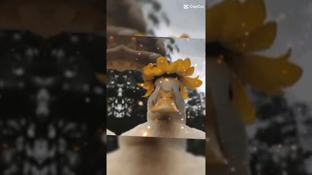 1000014892.mp4