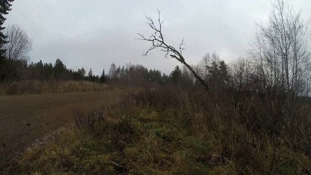 ТЕСТ 8.11.24
